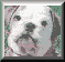 wuff